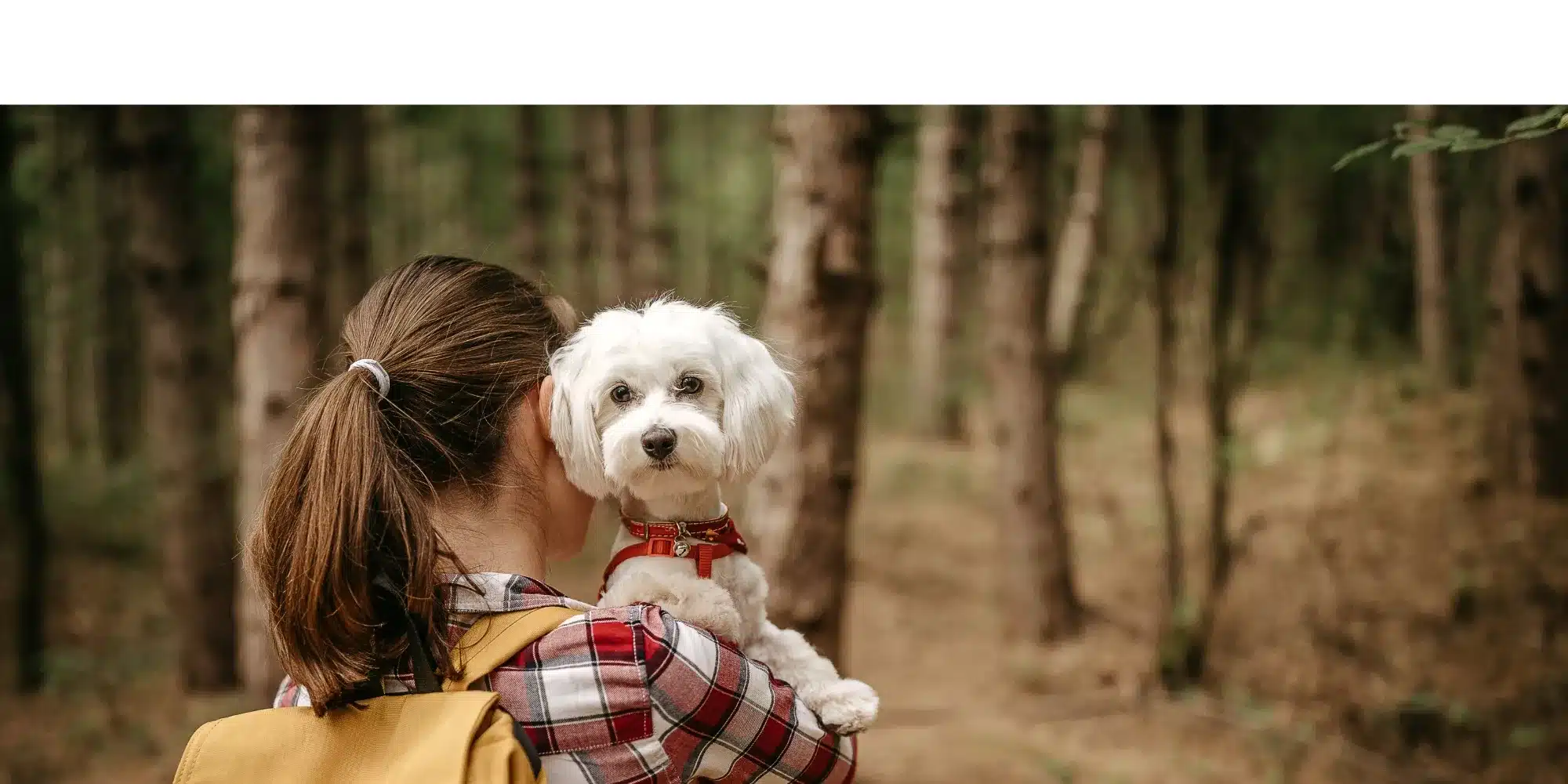 animaux camping cevennes